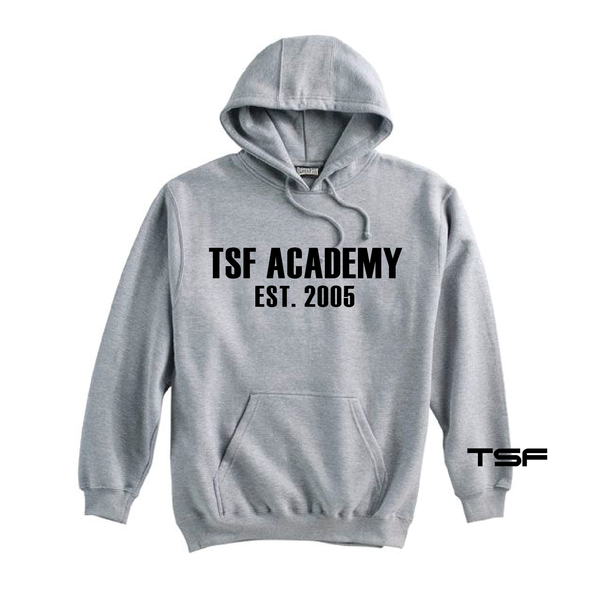 TSF Academy 2005 Pennant Super 10 Hoodie Grey
