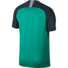 Nike Men's Dri-FIT 2018/19 Tottenham Hotspur 3rd Stadium Jersey