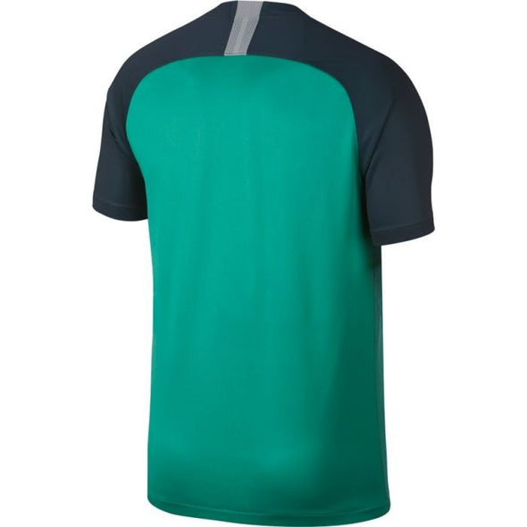 Nike Men's Dri-FIT 2018/19 Tottenham Hotspur 3rd Stadium Jersey