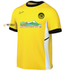 DS Academy Nike Academy 25 Jersey Yellow