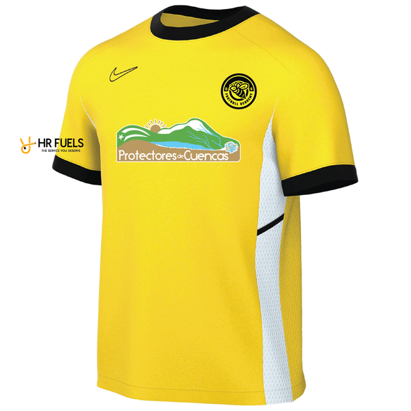 DS Academy Nike Academy 25 Jersey Yellow