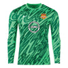 Castely Nike Gardien V Goalkeeper Match Jersey Green