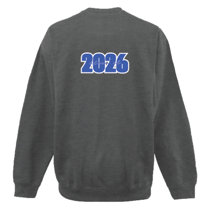 STEAM HS Gildan Crewneck Sweater Dark Heather