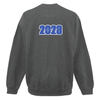 STEAM HS Gildan Crewneck Sweater Dark Heather