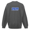 STEAM HS Gildan Crewneck Sweater Dark Heather