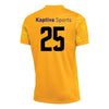 Kaptiva Sports Academy TX Nike Precision VII GK Jersey Gold