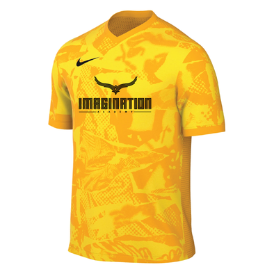 Imagination Academy Nike Precision VII Jersey Gold