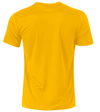 KOSA SC C.B.deF Nike Park VII Practice Jersey Gold
