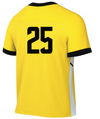 KOSA SC C.B.deF Academy Nike Academy 25 Jersey Yellow