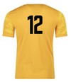 DCFA Academy Nike Precision VII Jersey Gold