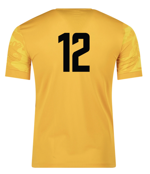 DCFA Academy Nike Precision VII Jersey Gold