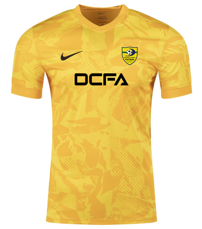 DCFA Academy Nike Precision VII Jersey Gold