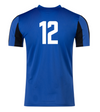 DCFA Academy Nike Striped Division V Jersey Royal/Black