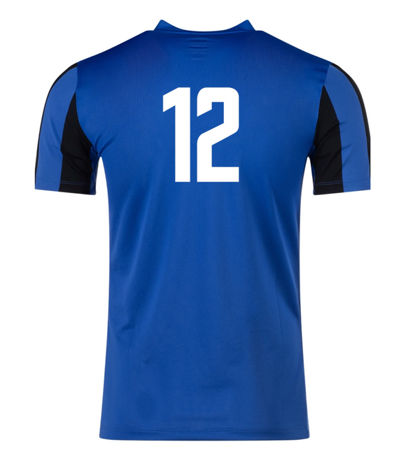 DCFA Academy Nike Striped Division V Jersey Royal/Black