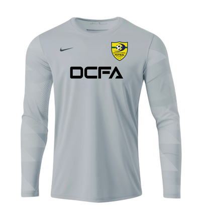 DCFA Nike LS Park IV GK Jersey Grey