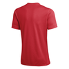 Imagination Academy Practice Nike Strike IV Jersey Red