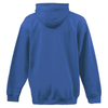 T.I.E.S Pennant Super 10 Hoodie Royal