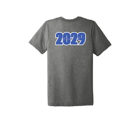 STEAM HS Bella + Canvas Short Sleeve Triblend T-Shirt Grey