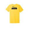 STARS Bella + Canvas Short Sleeve Triblend T-Shirt Gold