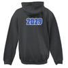 STEAM HS Pennant Super 10 Hoodie Charcoal