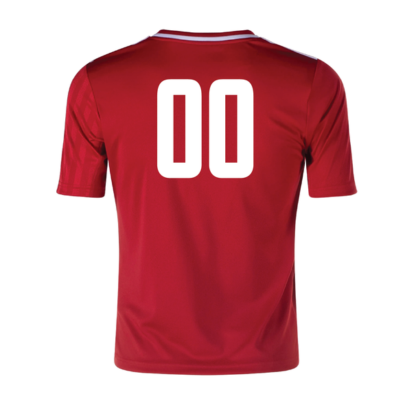 Albertson SC adidas Campeon 25 Jersey Red