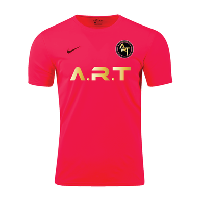 Adrenaline Rush Training FAN Nike Park VII Practice Jersey Pink