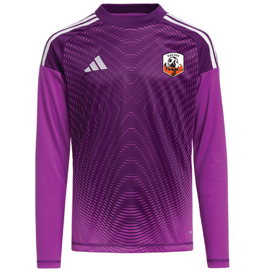 Black River Athletics adidas Tiro 25 Comp LS GK Match Jersey Purple