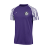 NJ14 Nike Academy SS Jersey Purple