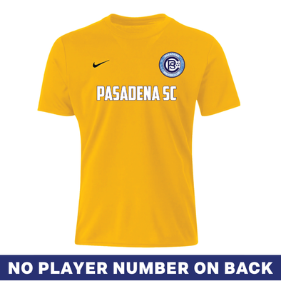 Pasadena SC County Nike Park VII Goalkeeper Jersey Gold