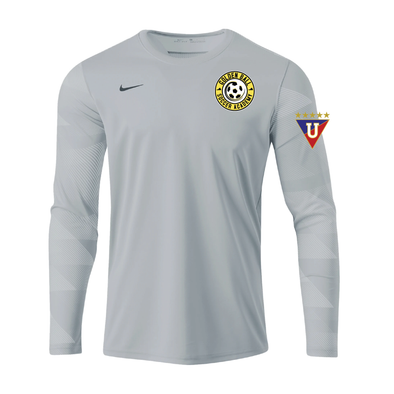 Golden Ball Nike LS Park IV Goalkeeper Jersey Grey
