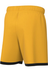 Kaptiva Sports Academy TX Nike Classic III GK Short Light Gold