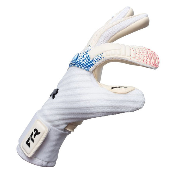 Puma Future Pro Hybrid Goalkeeper Gloves