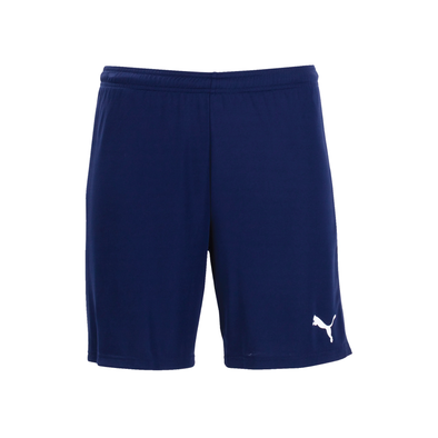 Pflugerville FC Winter Leagye Puma Goal Short Navy