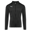Puma Goal Training Jacket Black