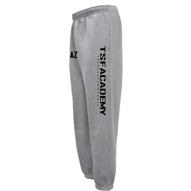 TSF Academy FAN Pennant Tri-State Grey Jogger