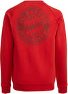 adidas Bayern Munich Crewneck Sweatshirt - YOUTH