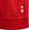 adidas Bayern Munich Crewneck Sweatshirt - YOUTH