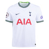 Men's Authentic Nike Richarlison Tottenham Hotspur Home Jersey 22/23
