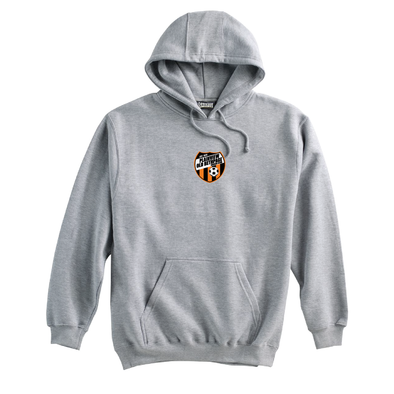 Plainview Old Bethpage (Patch) Pennant Super 10 Hoodie Grey