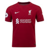 Men's Authentic Virgil Van Dijk Nike Liverpool Home Jersey 22/23