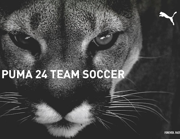 Puma Team Soccer Thumbnail